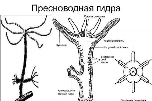 Кракен сайт регистрация