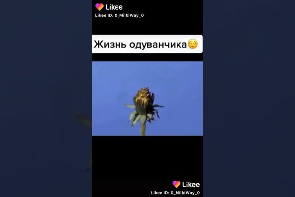 Что случилось с кракеном сайт